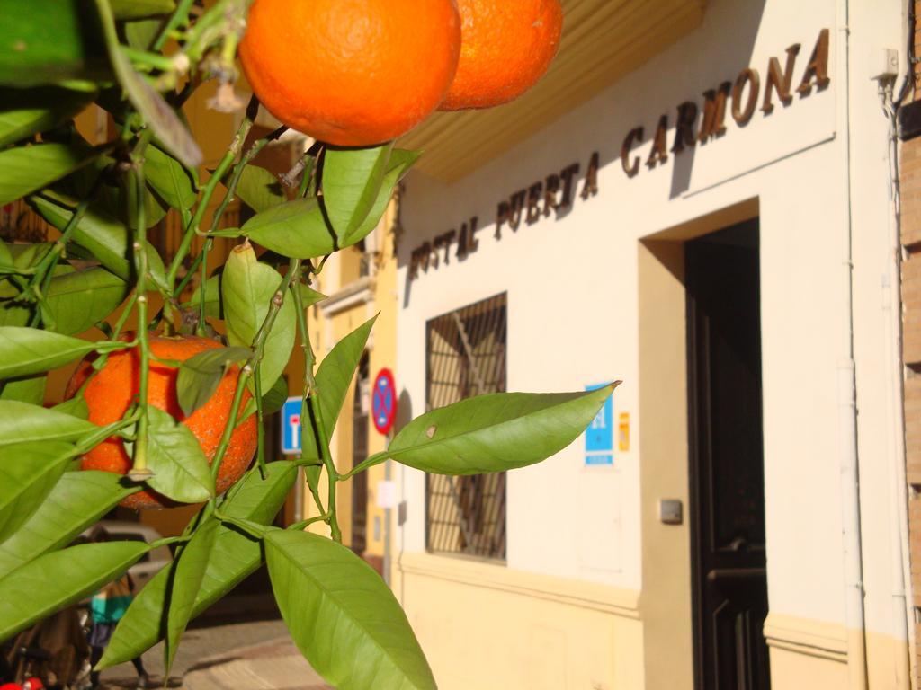 Hostal Puerta Carmona Seville Luaran gambar
