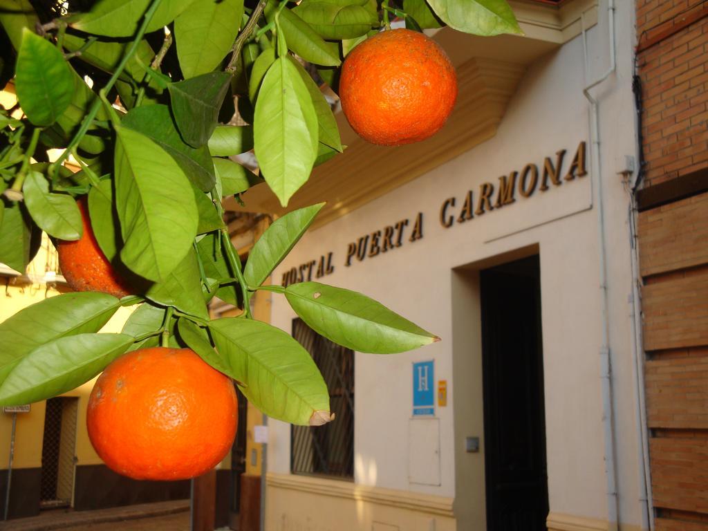 Hostal Puerta Carmona Seville Luaran gambar